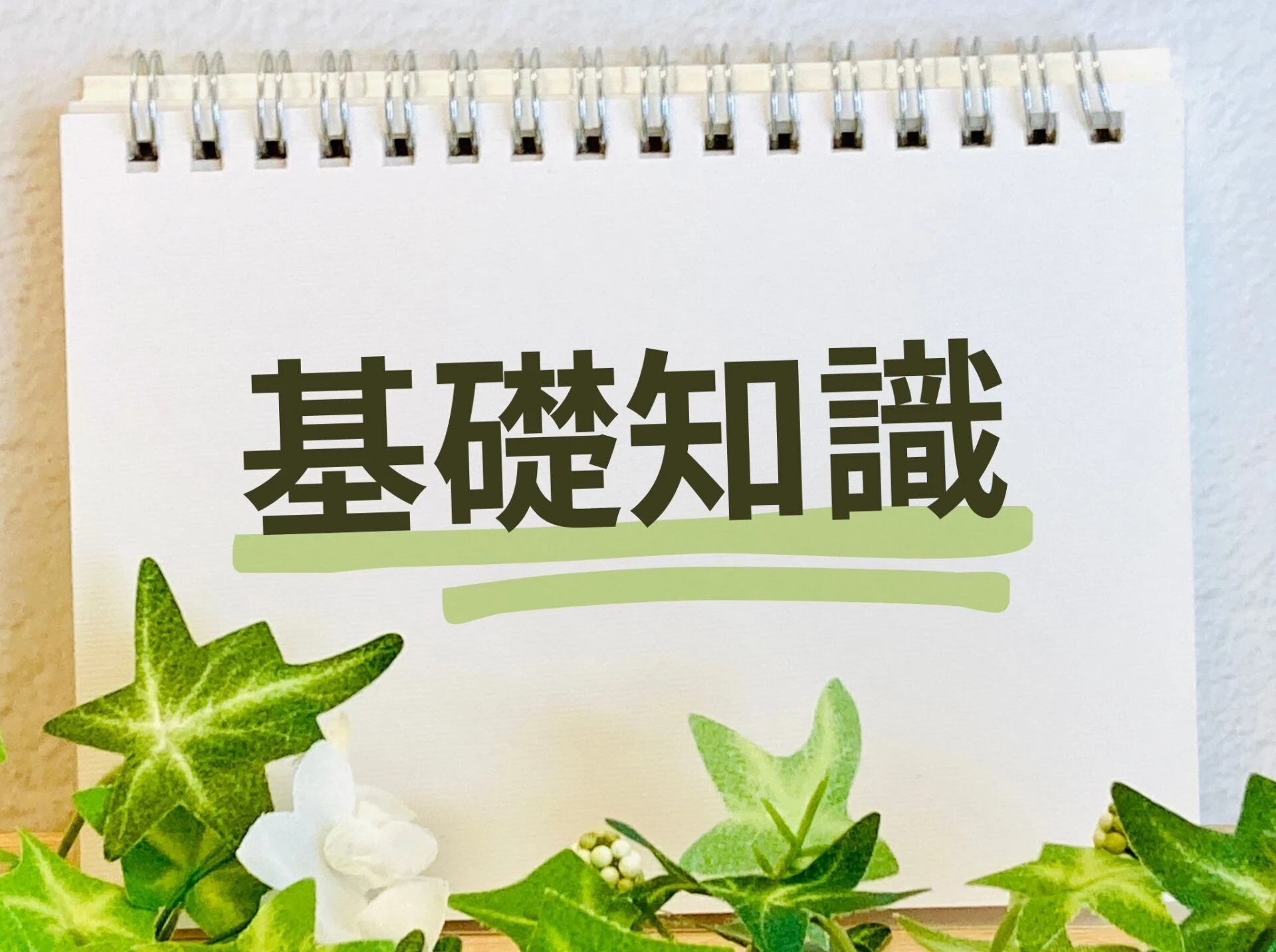 ブログ